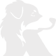 Runink Logo
